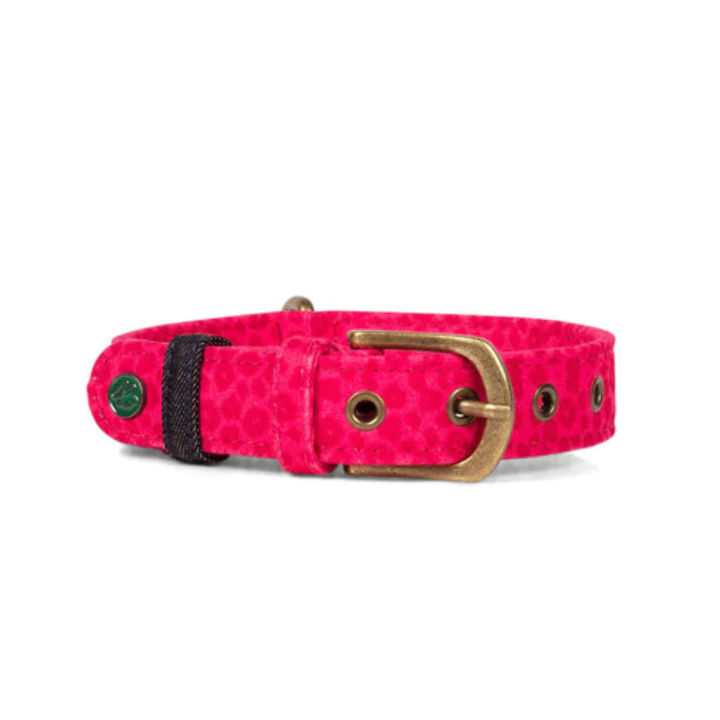 Halsband Hawaï