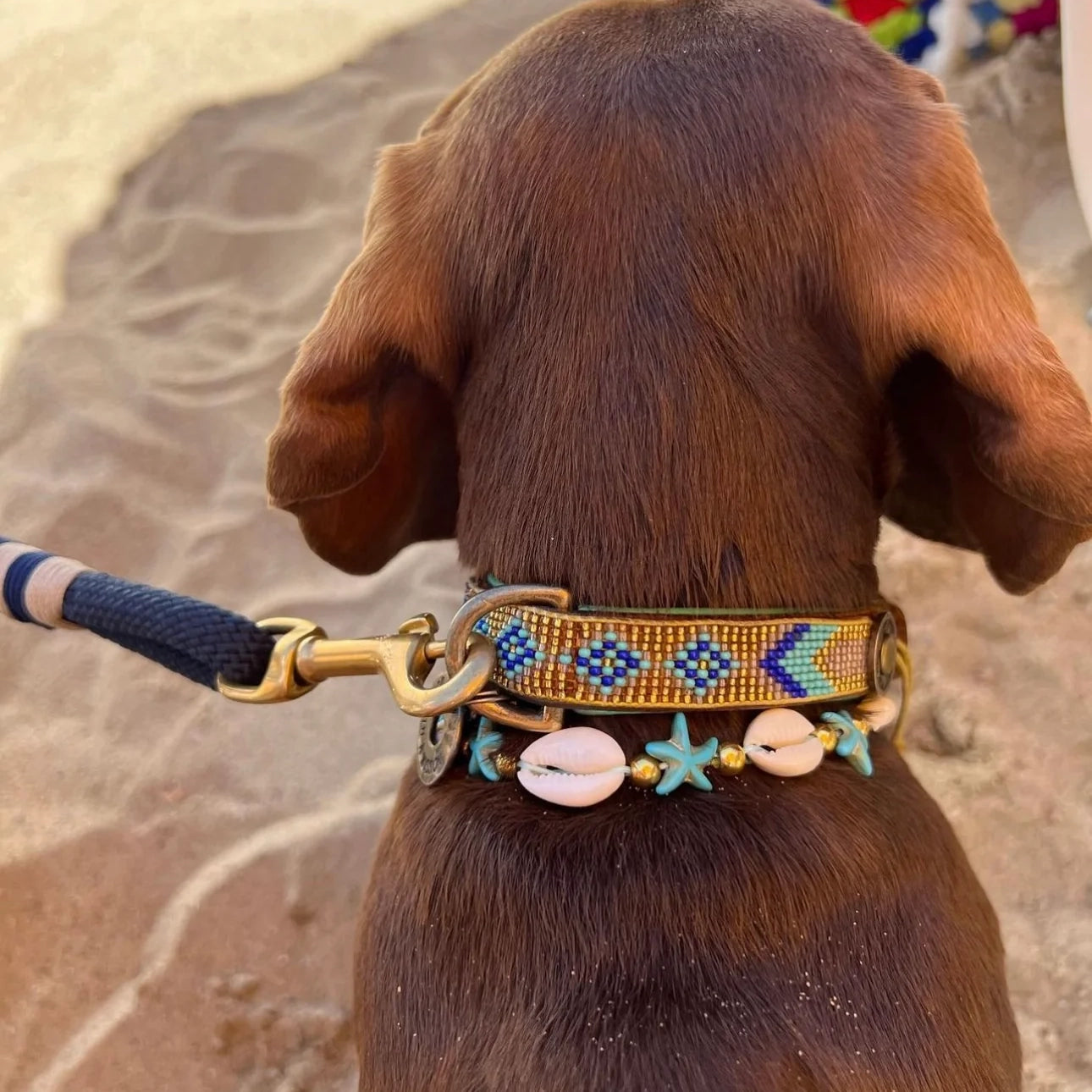 Ketting met zeester Schelp - Turkoois