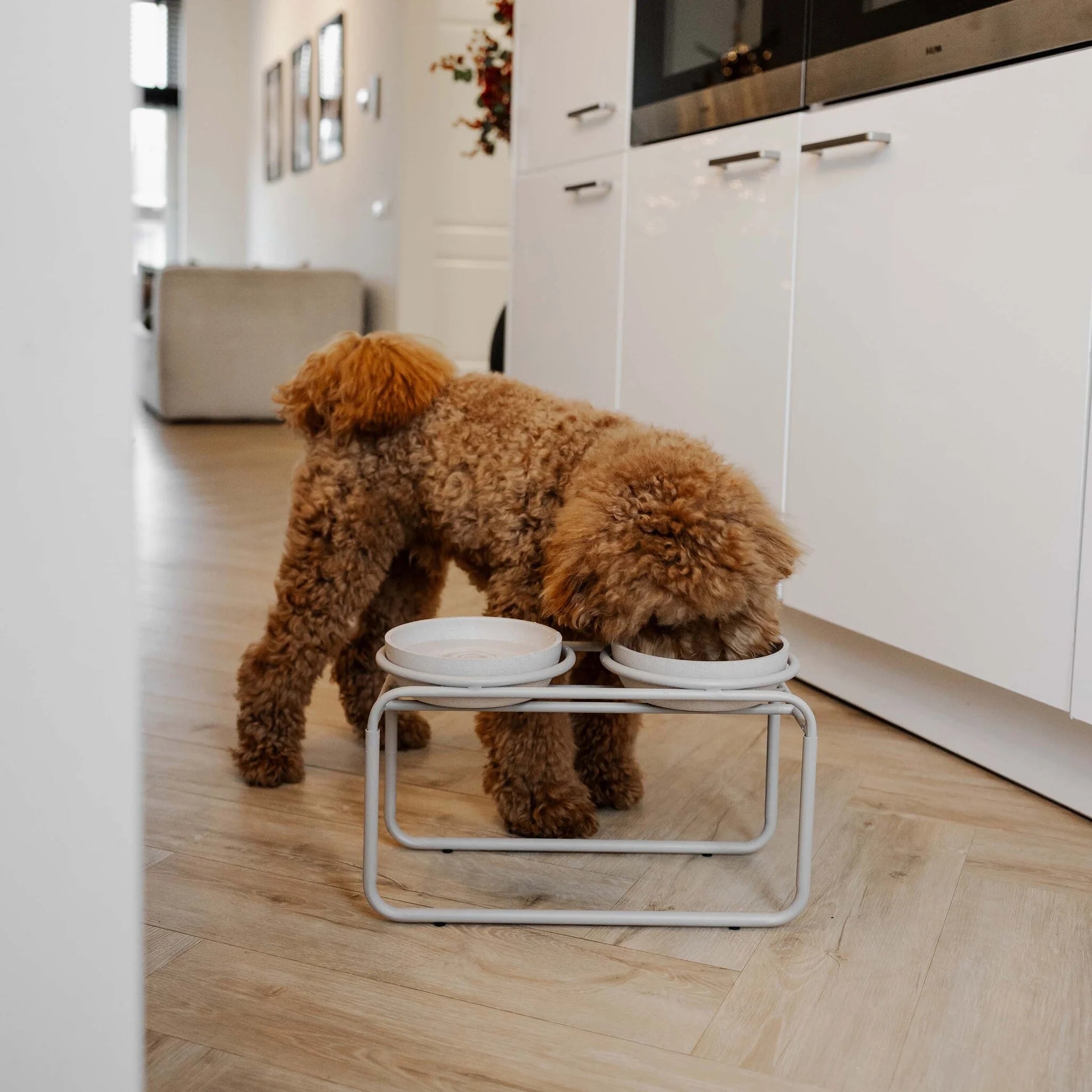 Butler Raised Bowl Standard - Beige