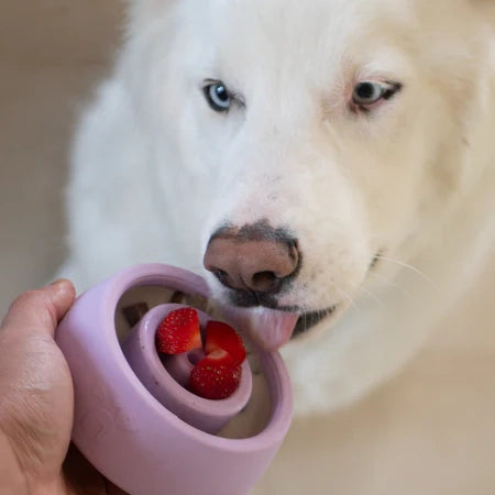 Yoomy Wobble Enrichment Toy | Lavender