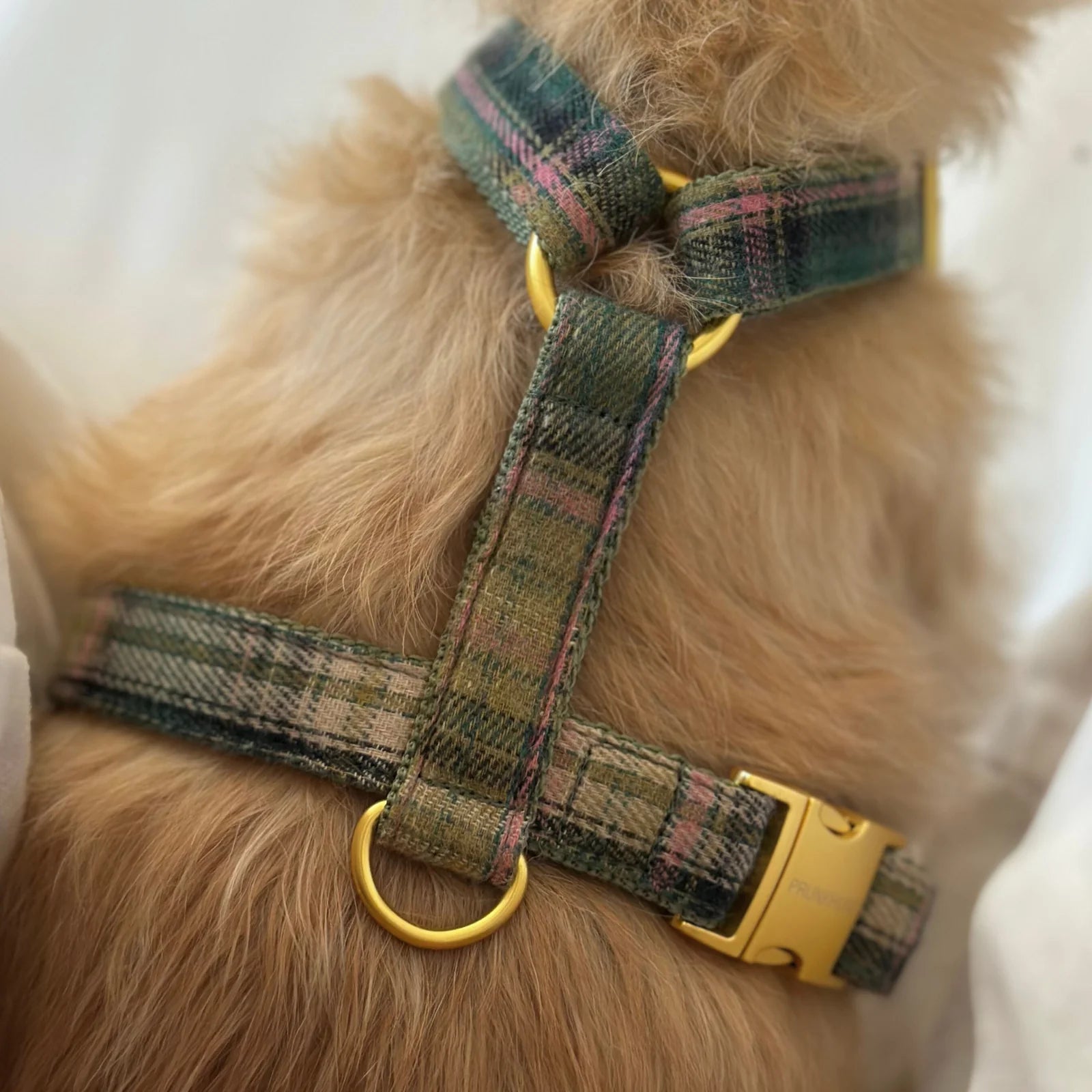 Harness Tartan