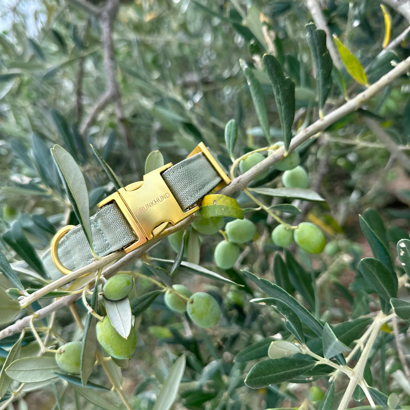 Collar Minimal - Olive