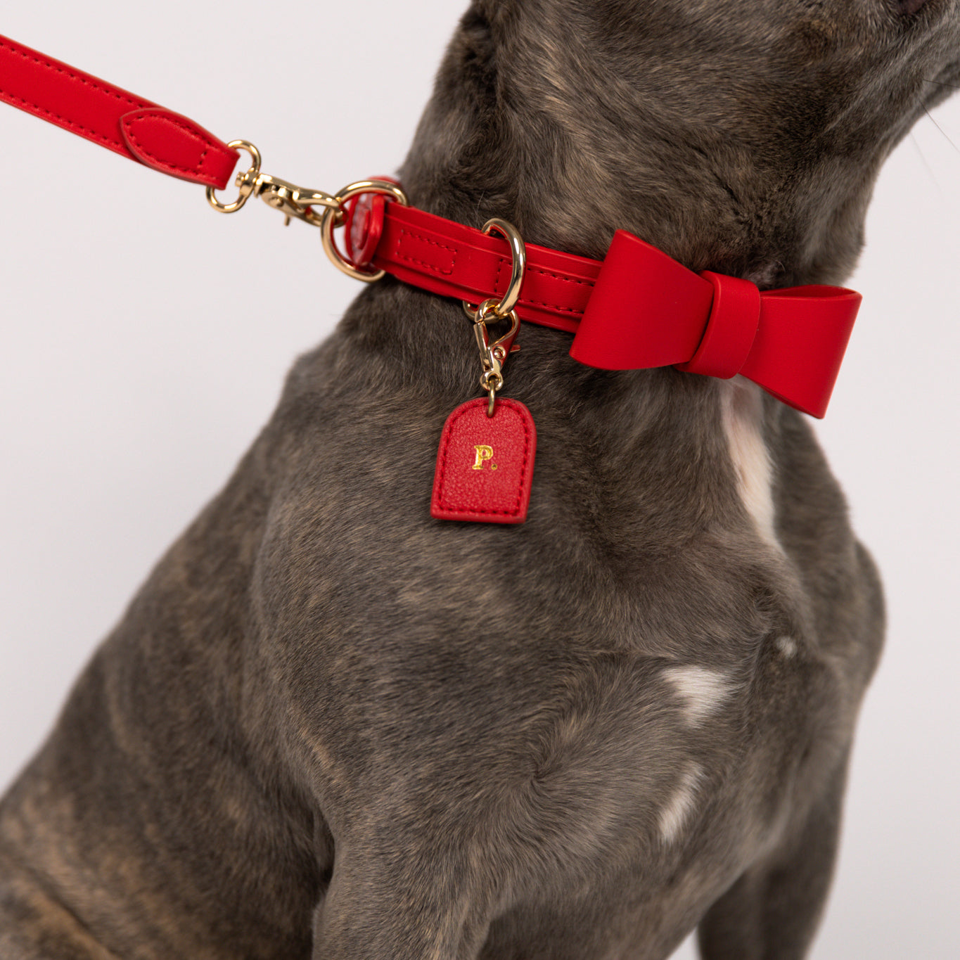 Ferrari Rood - Vegan Leren Halsband