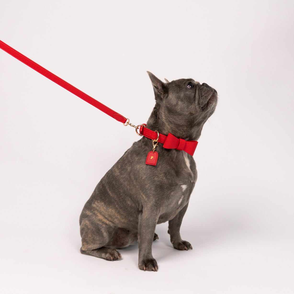 Ferrari Rood - Vegan Leren Halsband