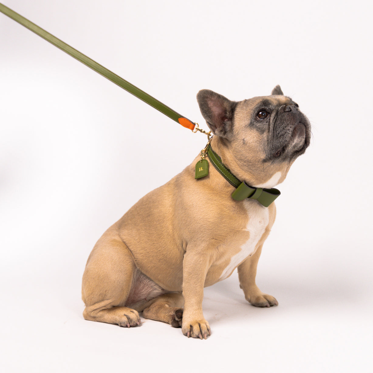 Khaki - Vegan Leren Halsband