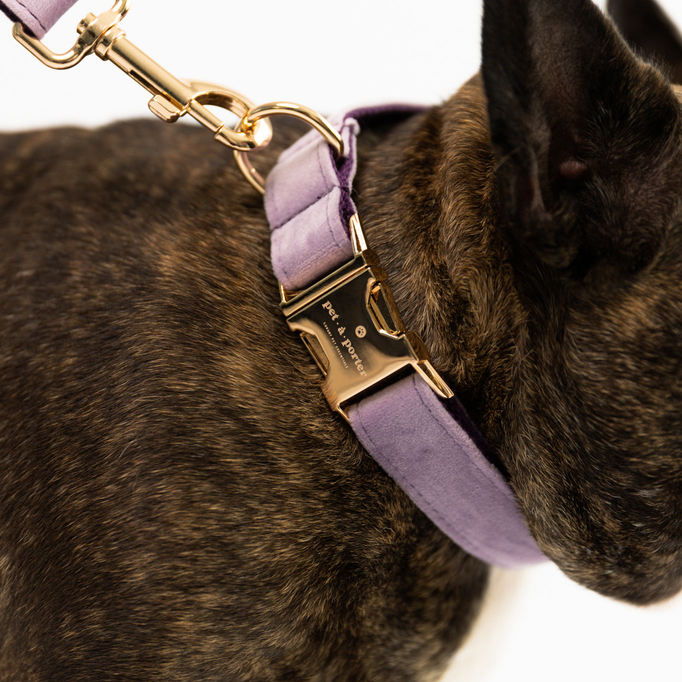 Lavendelbloesem - Fluwelen Set