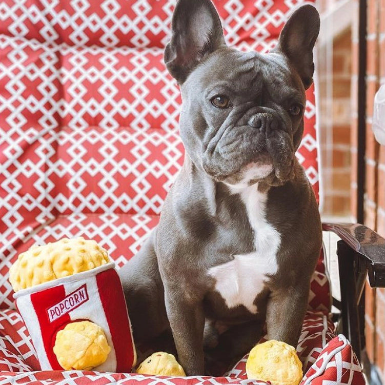 Zippy Burrow™ - Popcorn Bucket