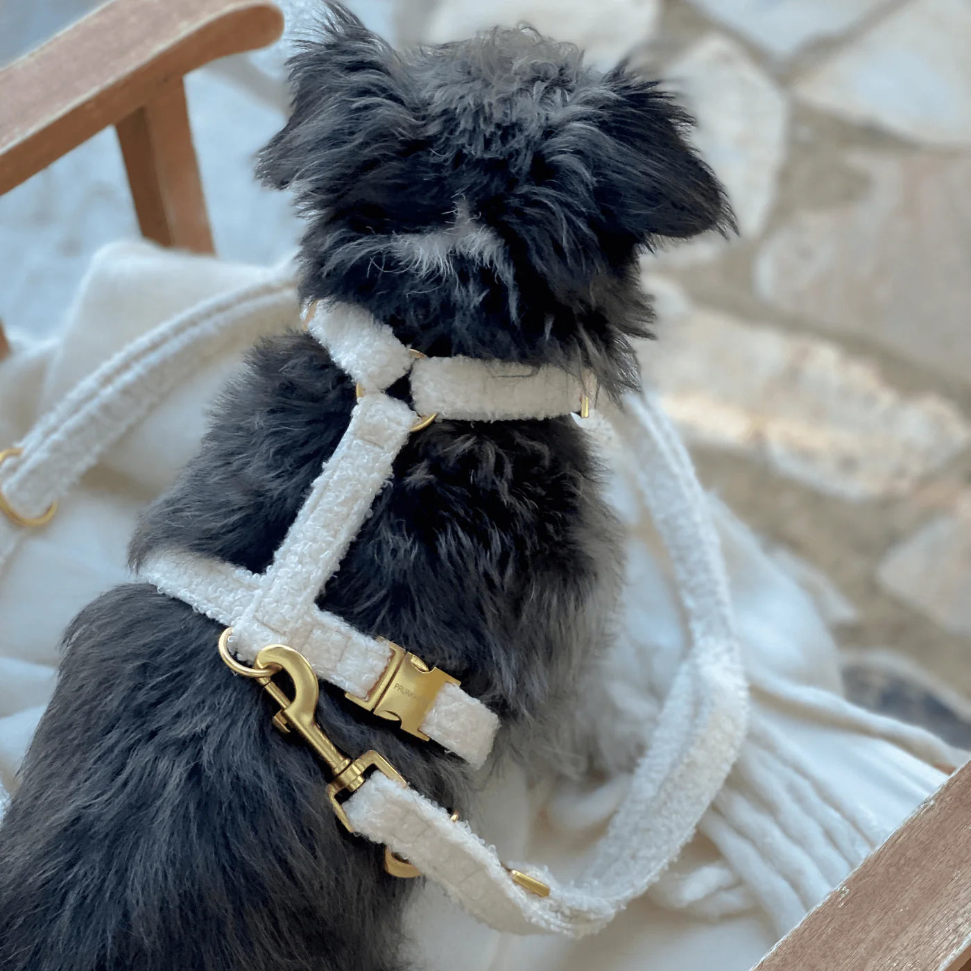 Harnas Teddy - Crème