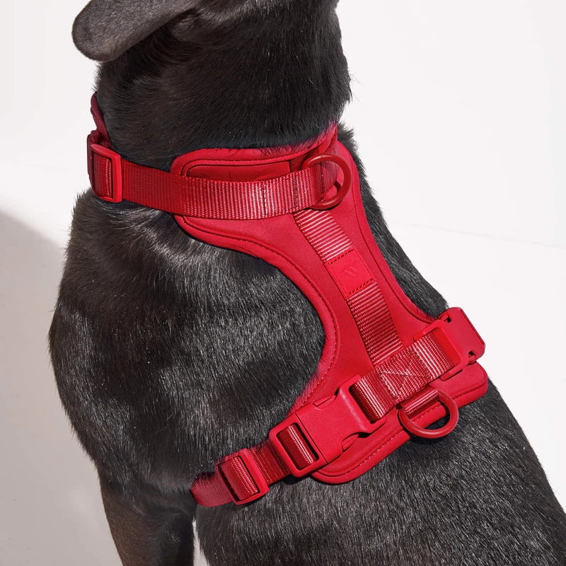 Dog Harness - Strawberry