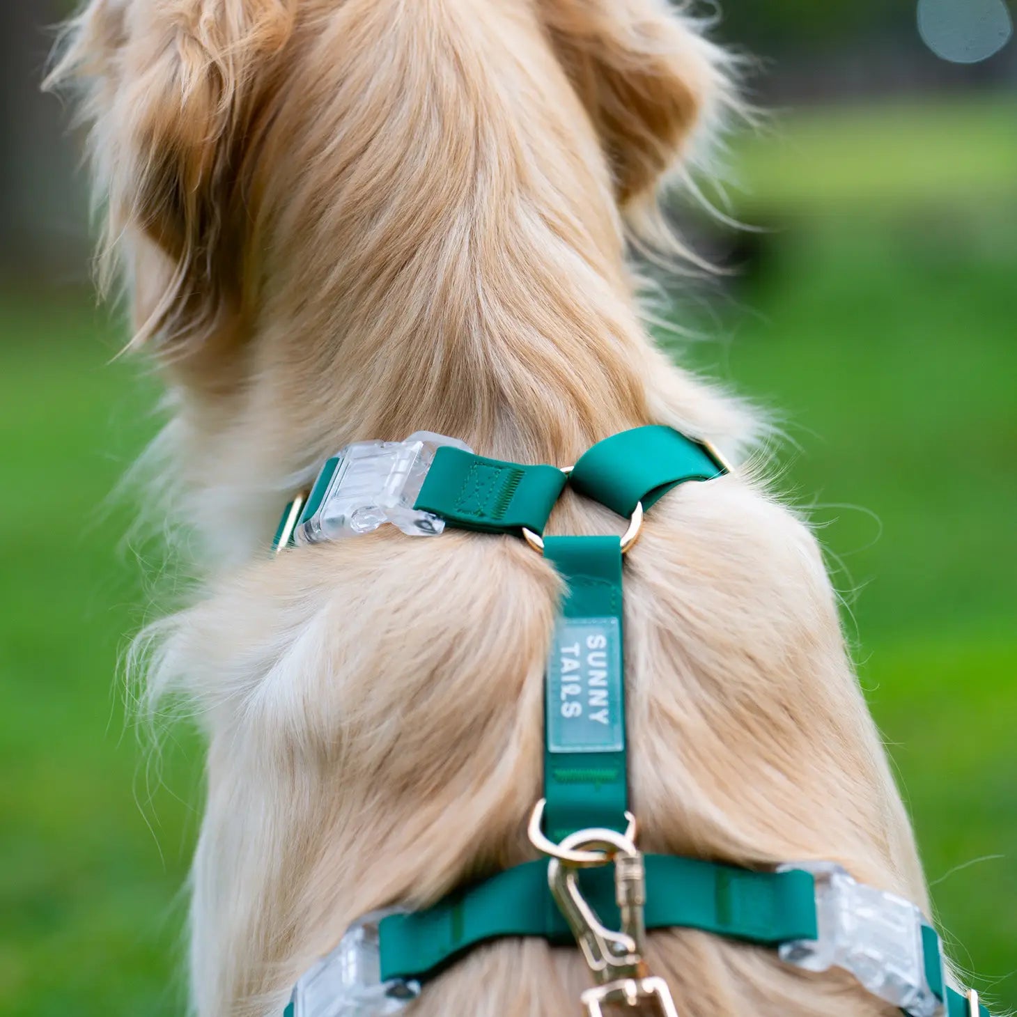 Waterproof Dog Harness - Meadow Green