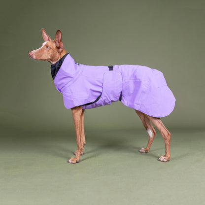 Visibility Winter Jacket - Lilac