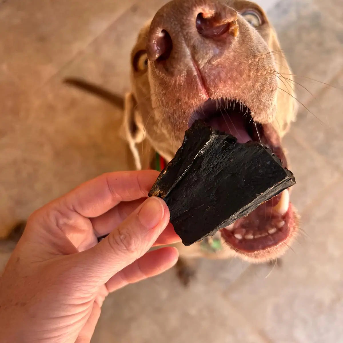 Beef Brownies | Air-Dried Liver Bites