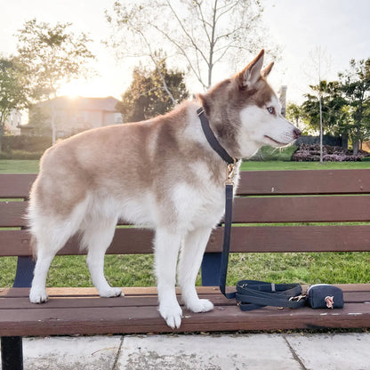 Waterproof Dog Collar - Ember Black