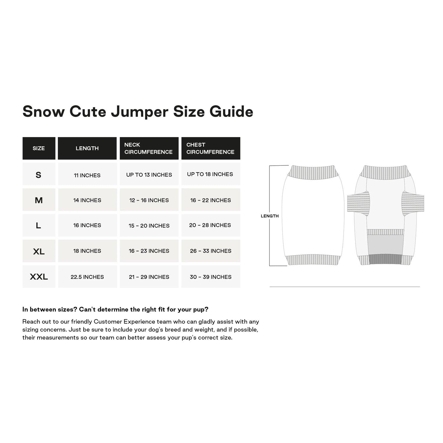 Snow Cute Jumper
