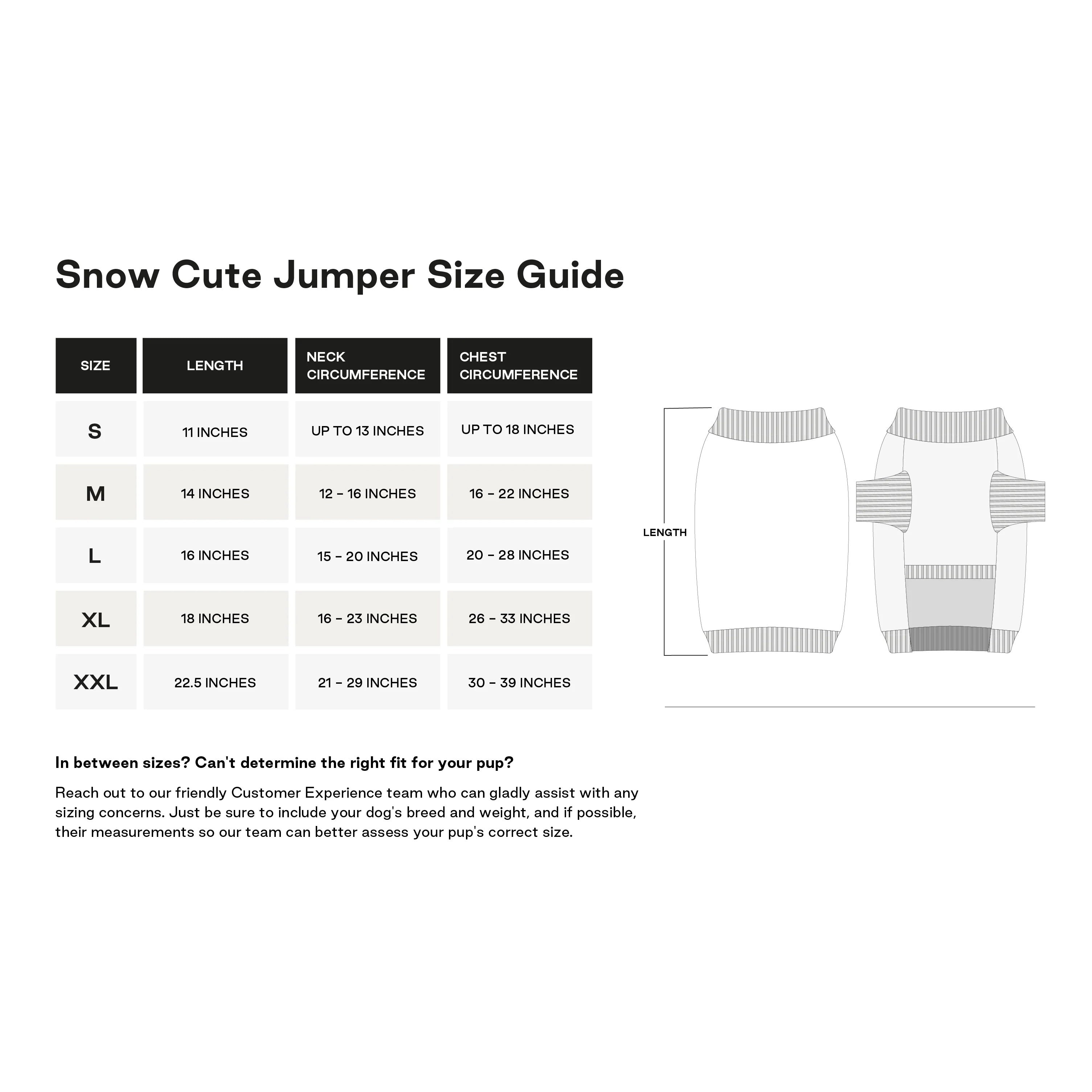 Snow Cute Jumper