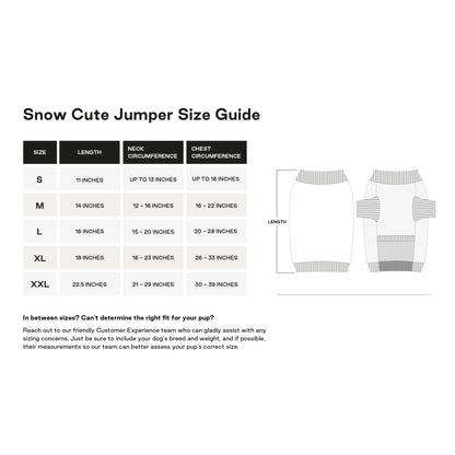 Snow Cute Jumper