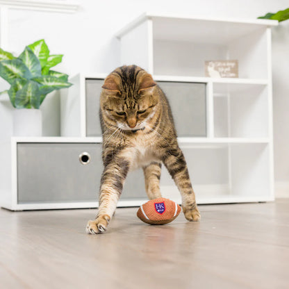 Football | Cat Toy