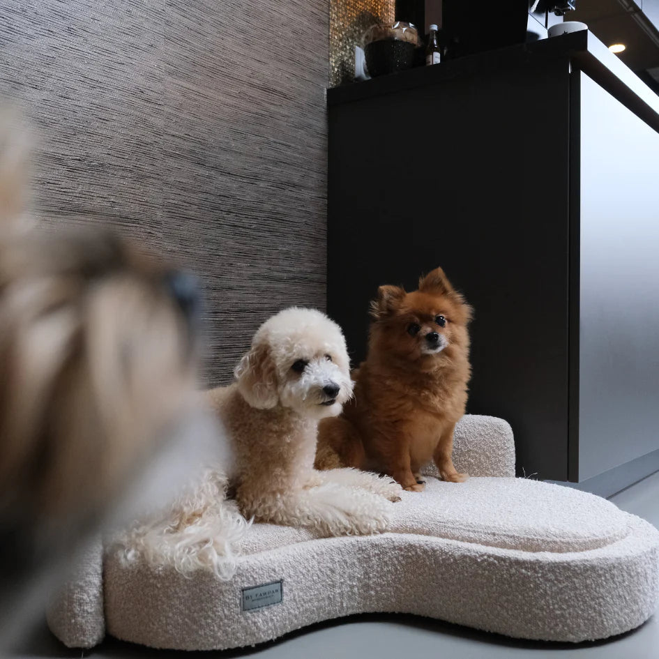 Bouclé Dog Lounge Bed