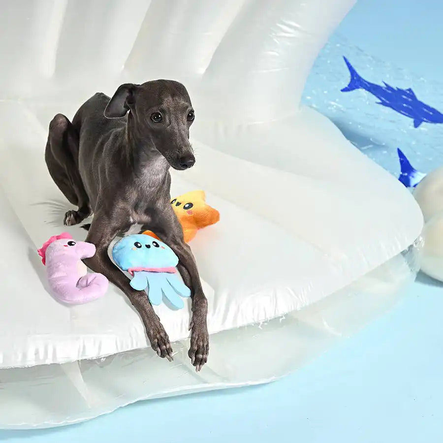 Ocean Pals Aqua Friends | Small Dogs Toy Set