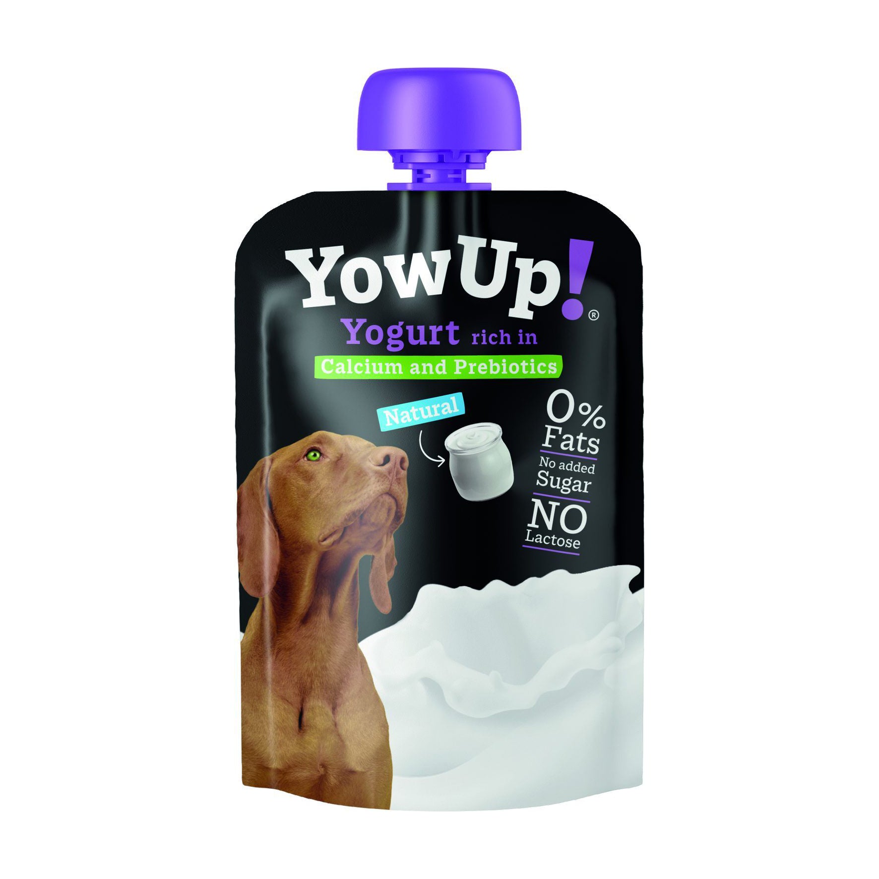 YowUp Dog Yoghurt