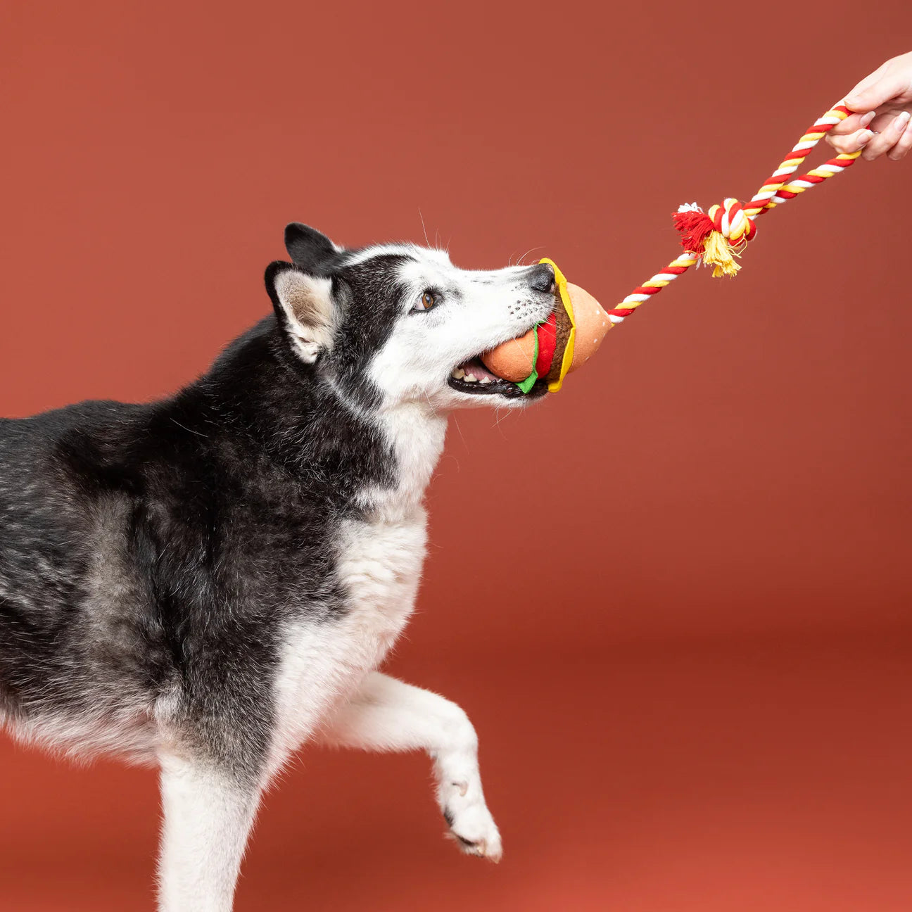 Ur The Bun That I Want Rope Toy