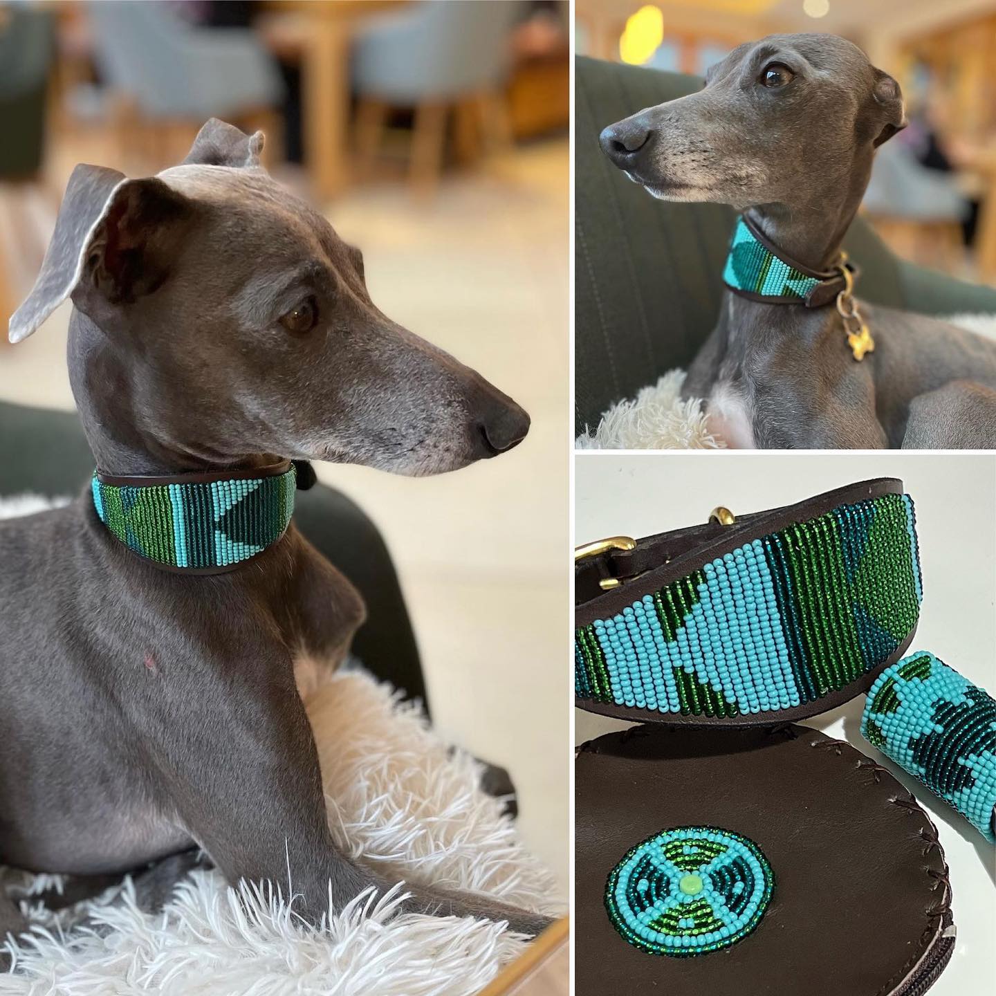 Beaded Lurcher - Little Giulia