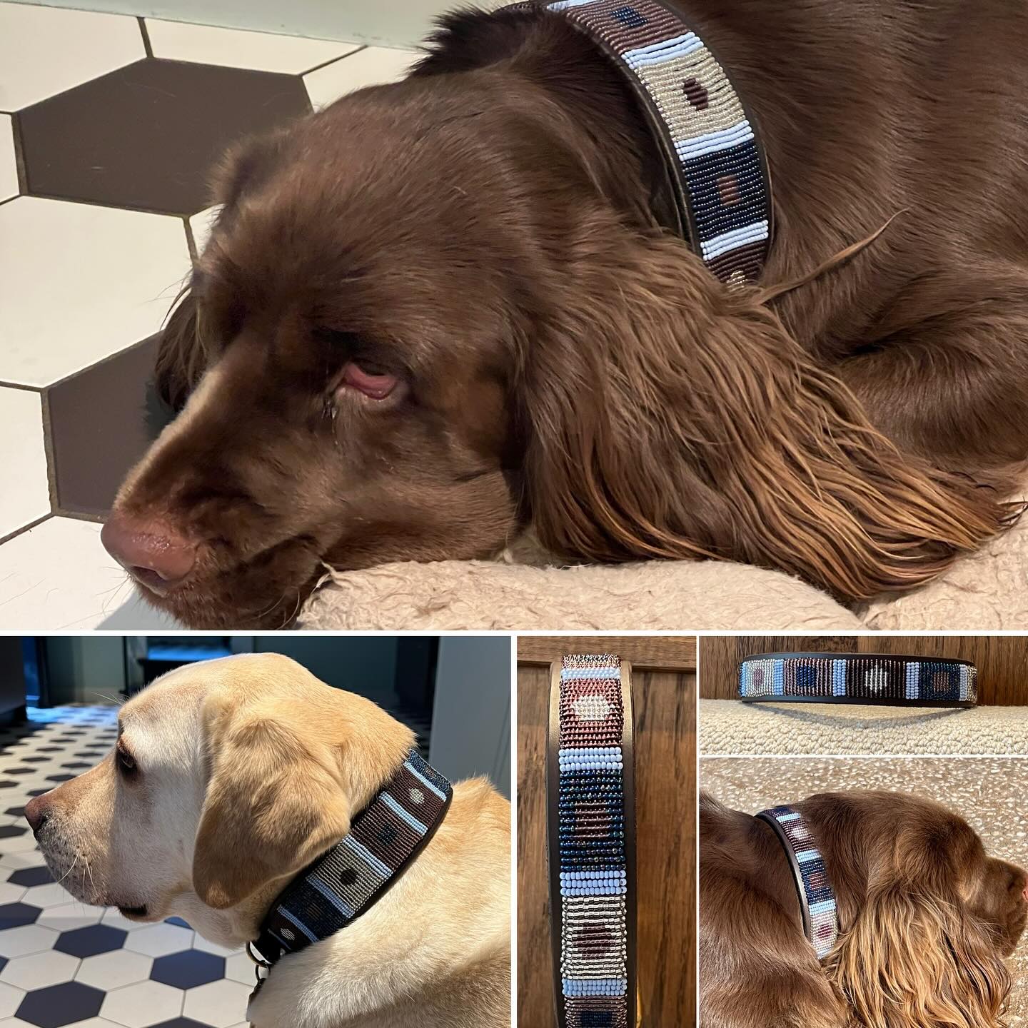 Beaded Dog Collar - Skye
