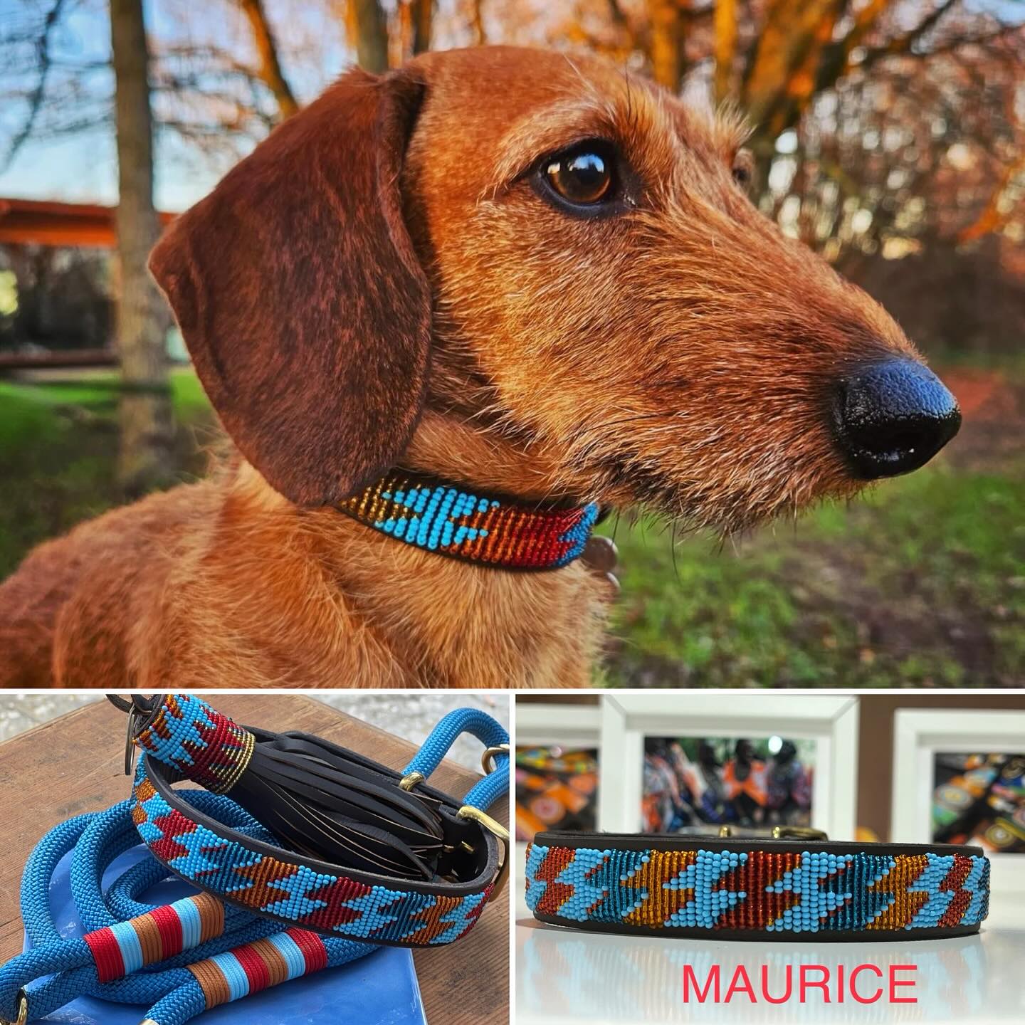 Hondenlijn  van Nylon Touw - Maurice