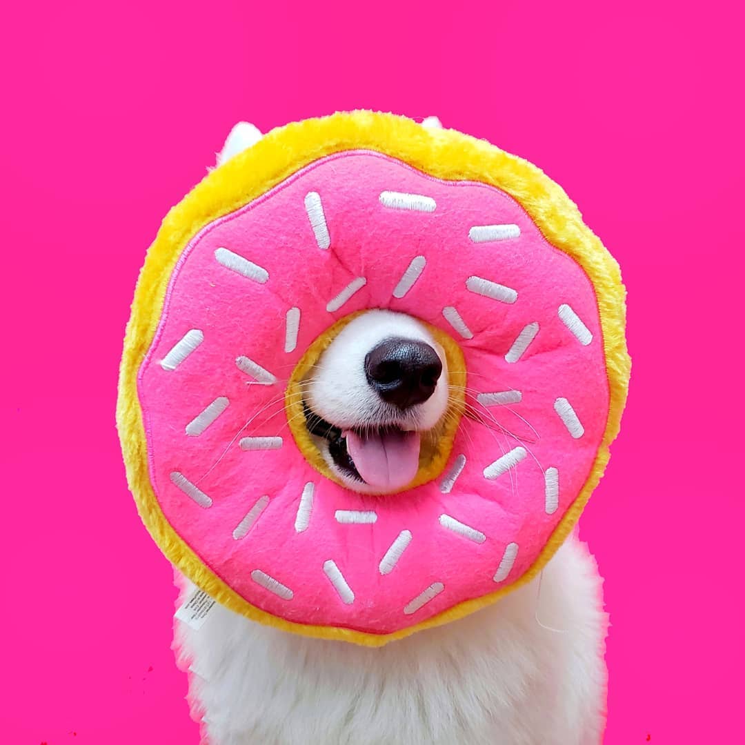 Giant Donut - Strawberry