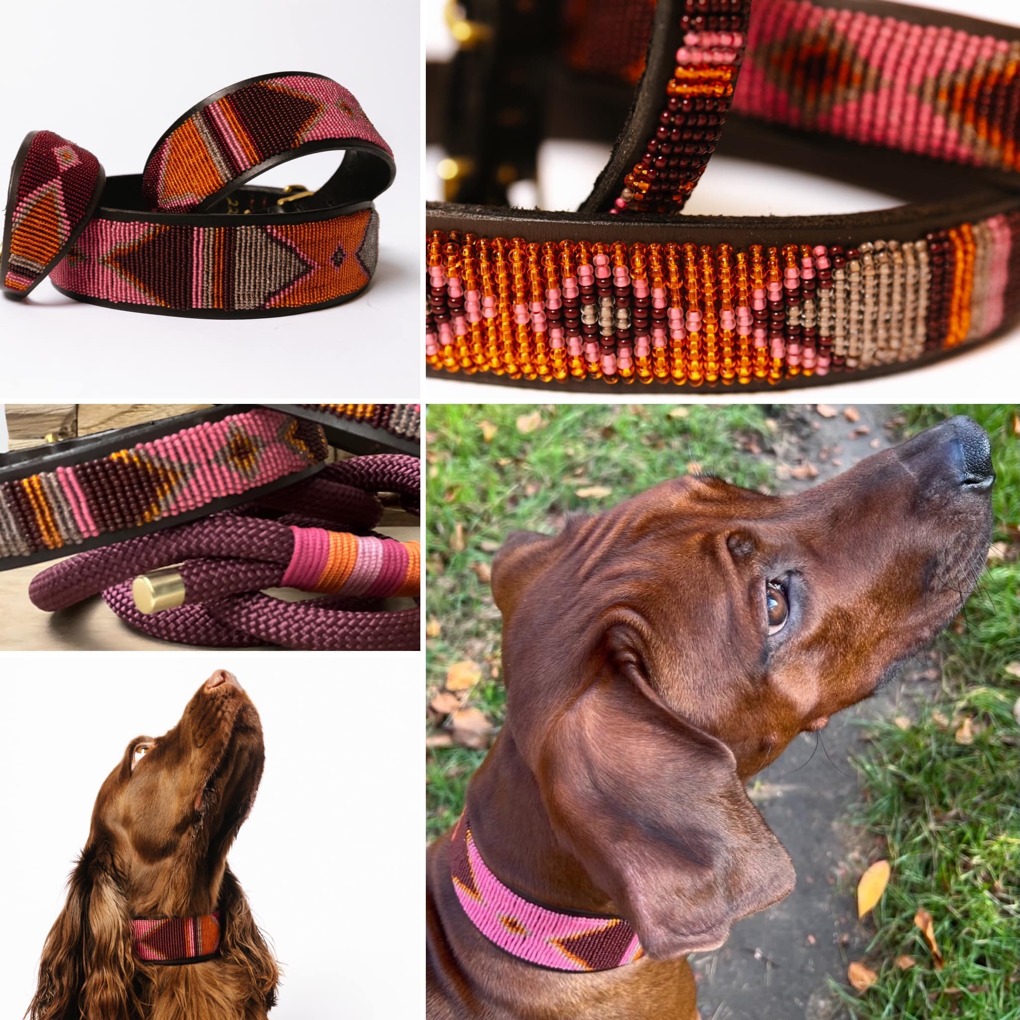 Beaded Dog Collar - Noa