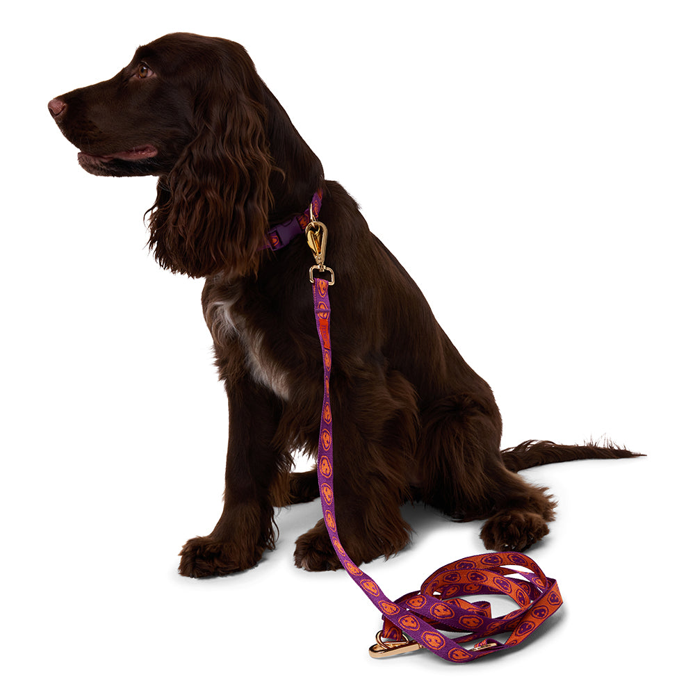 Leash - Furmey Orange