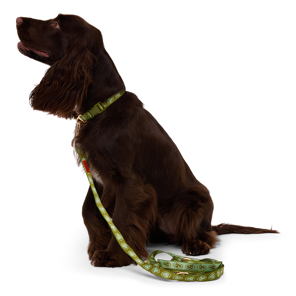 Leash - Matcha Green