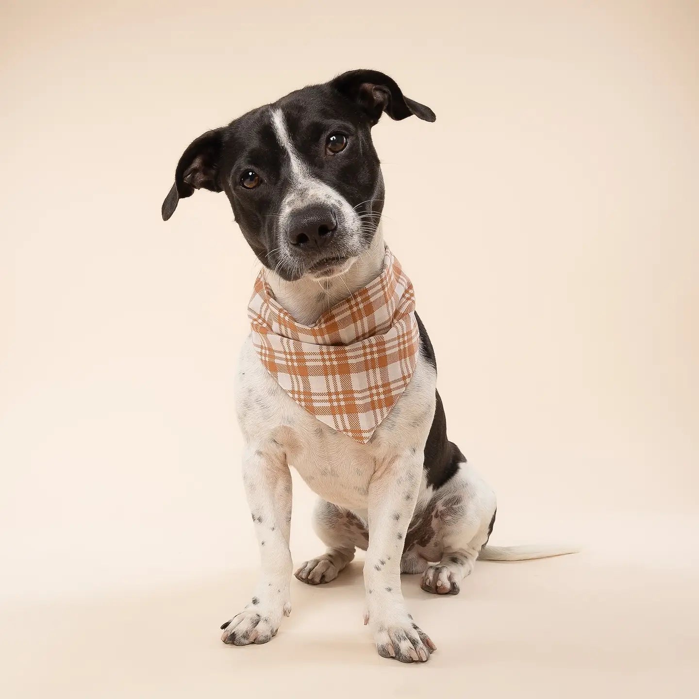 Ginger Plaid Bandana