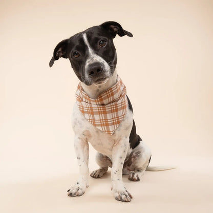 Ginger Plaid Bandana
