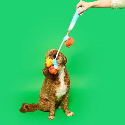 Fishing Nose Work &amp; Tug Toy