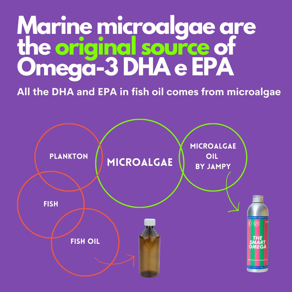 The Smart Omega | Vegan Omega3 Oil