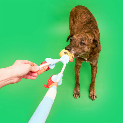 Fishing Nose Work &amp; Tug Toy