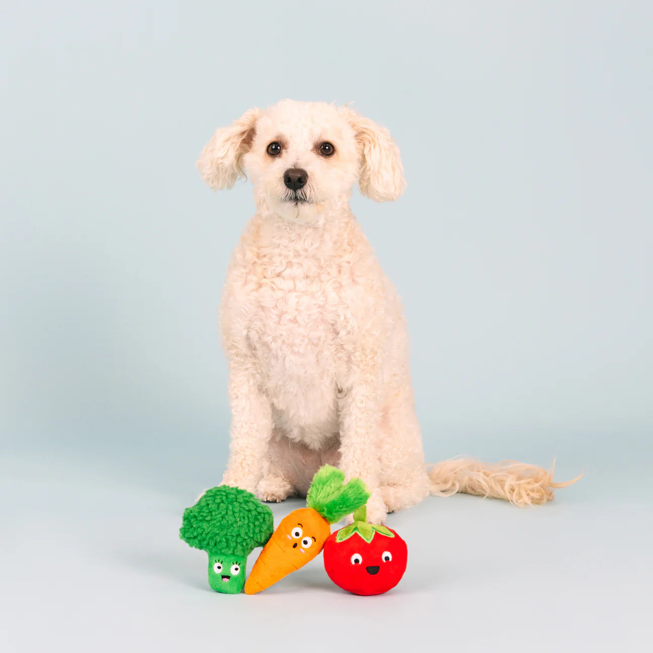 Farm To Table | Small Dogs Toy Set