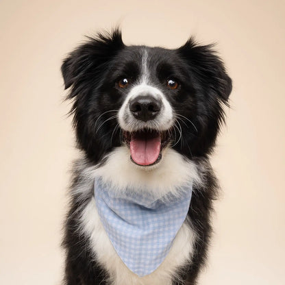 Baby Blue Gingham Bandana