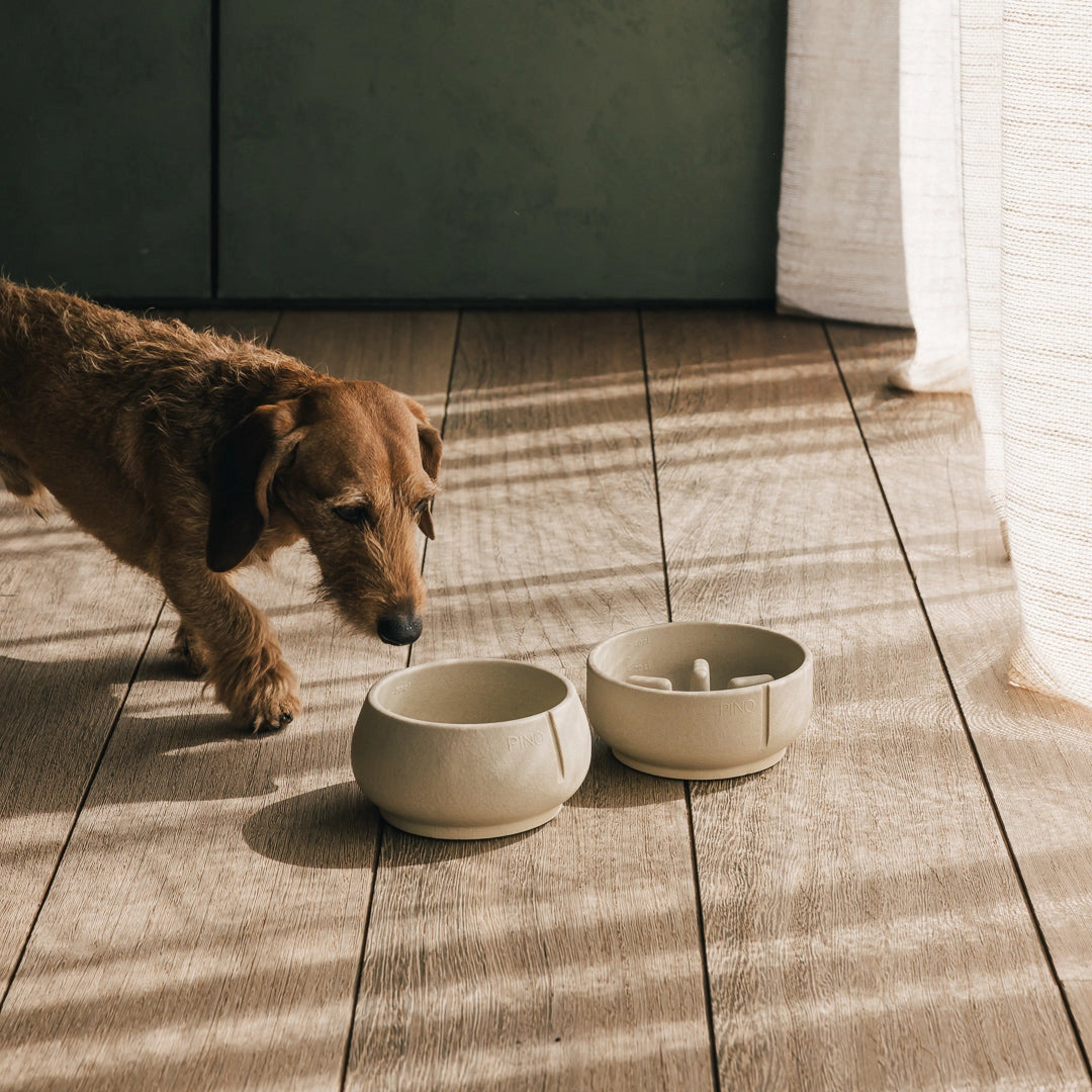 Slow Feeder Bowl - Owl Greige