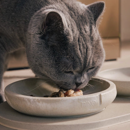Whisker Friendly Cat Bowl - Owl Greige Marble