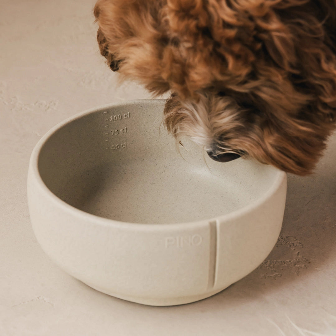 Classic Feeder Bowl - Owl Greige