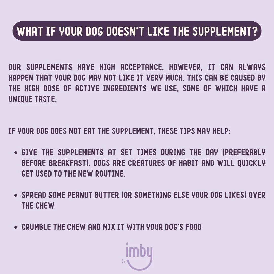 Hip &amp; Joint | Supplement Chews for Dogs