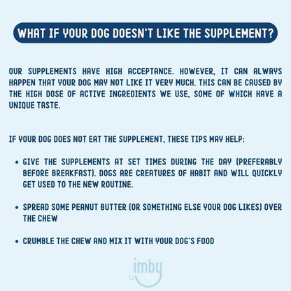 Probiotics | Supplement Chews for Dogs