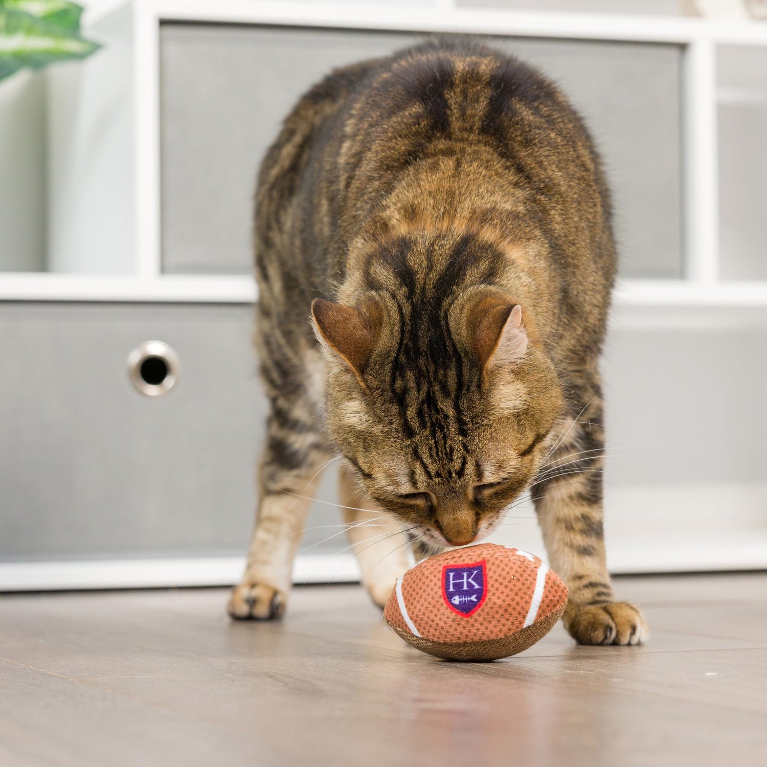 Football | Cat Toy