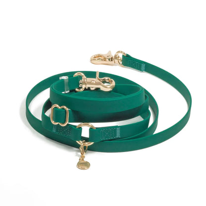 4-in-1 Convertible Hands Free Dog Leash - Meadow Green