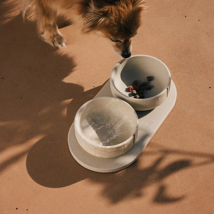 Classic Feeder Bowl - Owl Greige