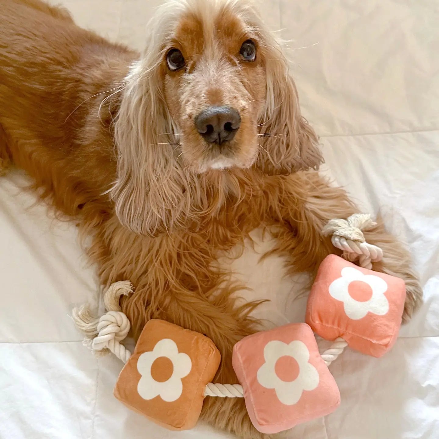 Flower Patch Rope Toy
