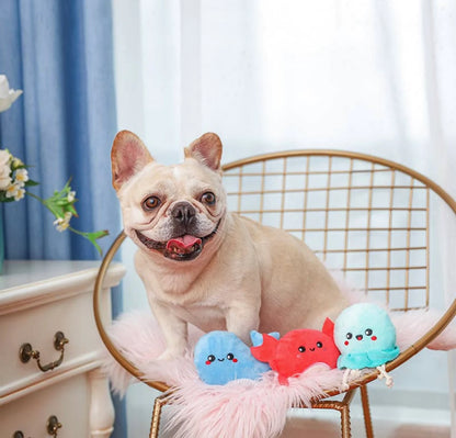 Sea Creatures | Small Dogs Toy Set
