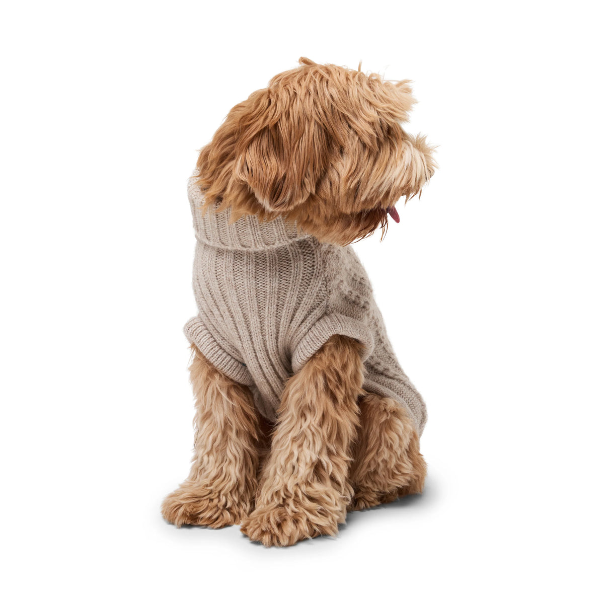 Bold - Breadcrumb Beige